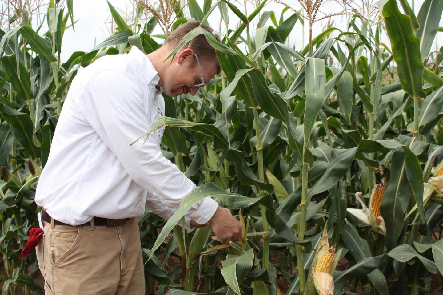 Seth Murray, Texas A&M AgriLife