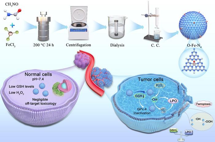 Novel Single-Atom Nanozymes Show Promise for hypoxia-tolerant Singlet Oxygen-Battery