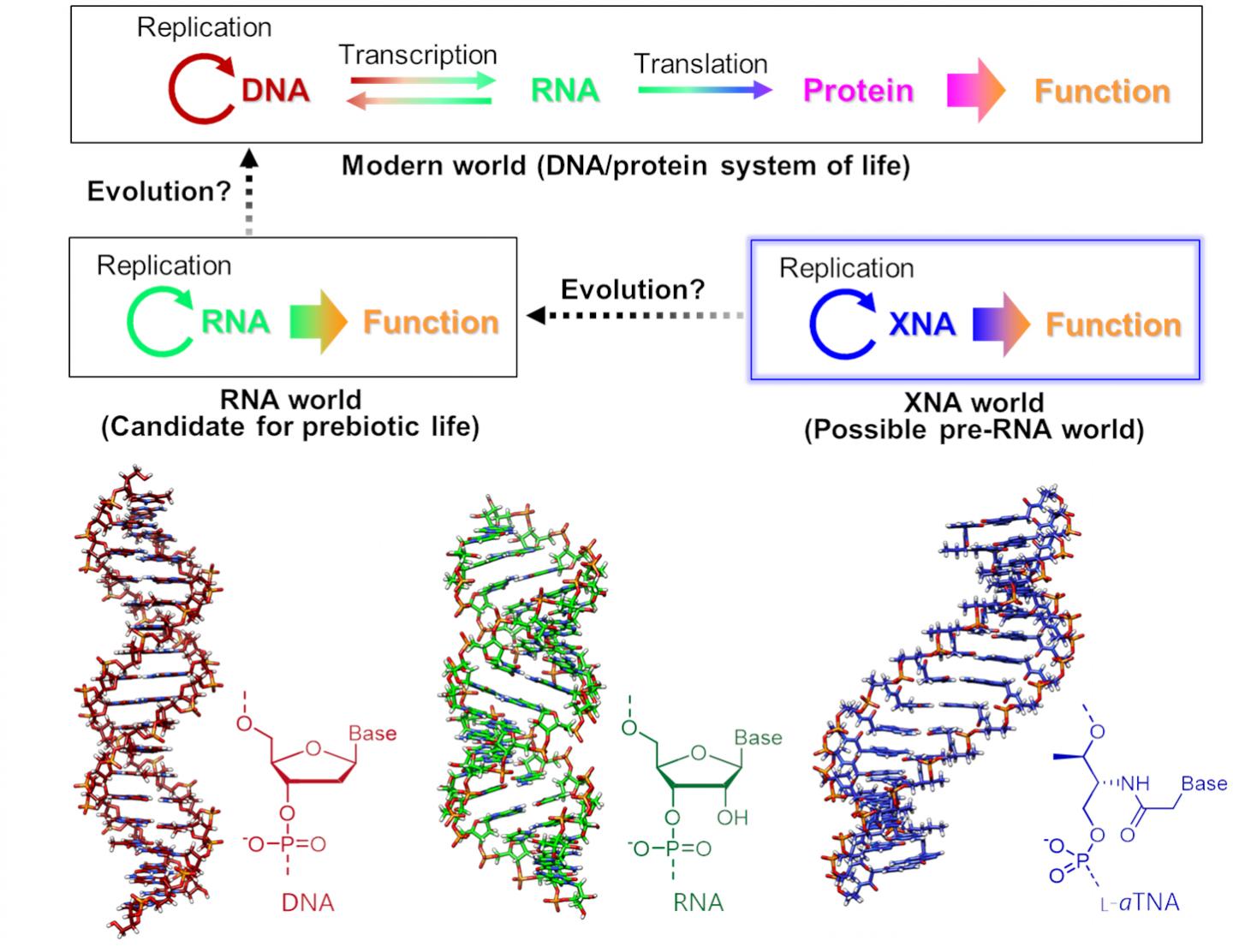 Origins of life (Figure 1)