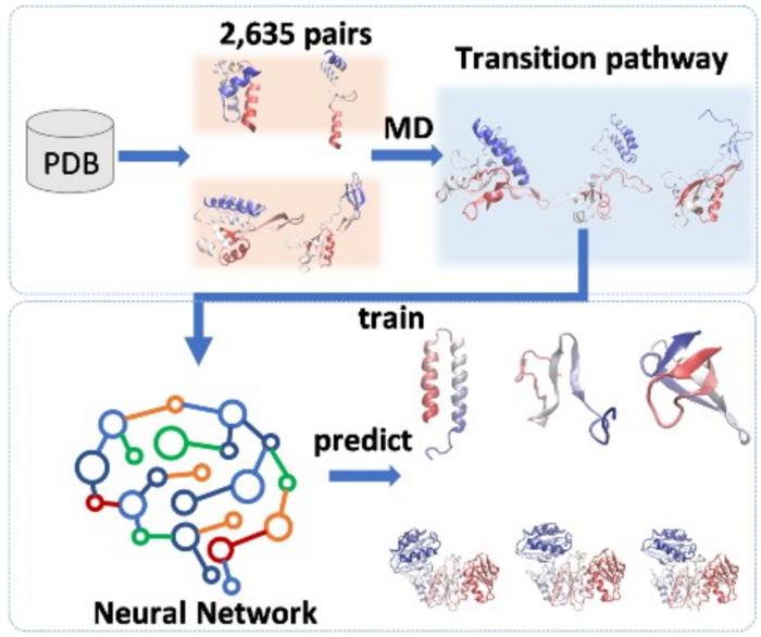 Exploring Protein Conformational Changes Using a Large-Scale Biophysical Sampling Augmented Deep Learning Strategy