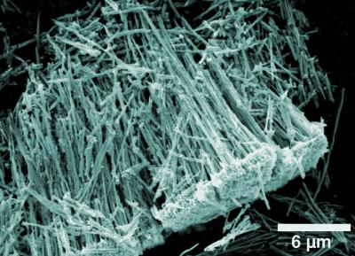 Super-Sensitive Gas Detector Goes Down the Nanotubes