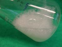 Biosurfactants from Antarctic Bacteria
