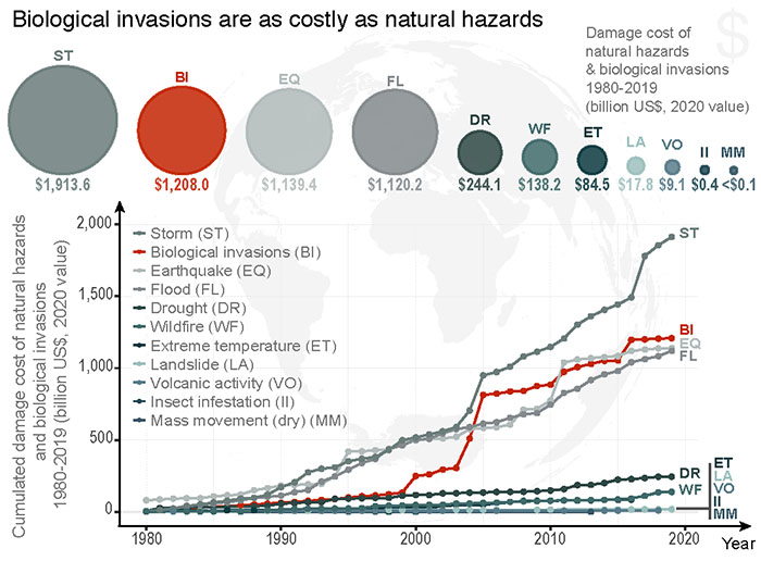 Biological invasions as costly as natural disasters