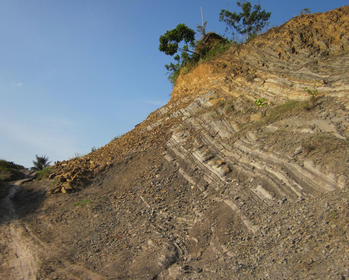 The Coral Triangle's Remarkably High Biodiversity Arose Relatively Recently (4 of 4)