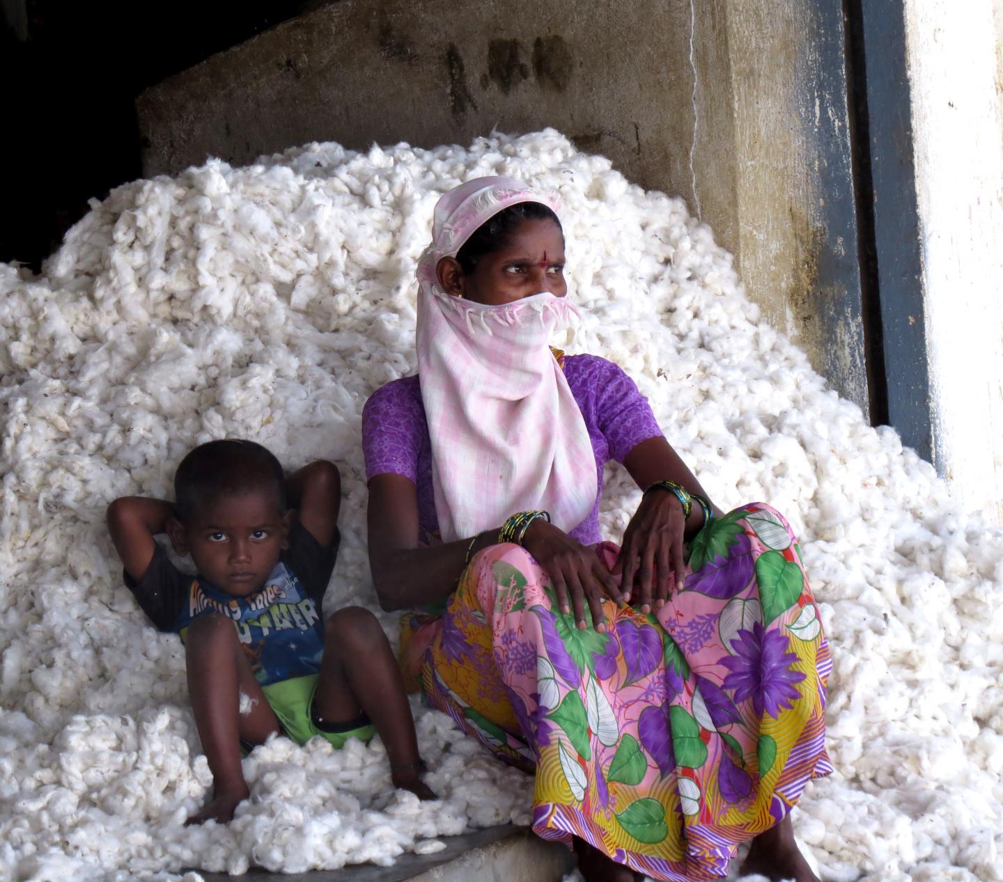 Cotton Packer and Son in Telangana, India