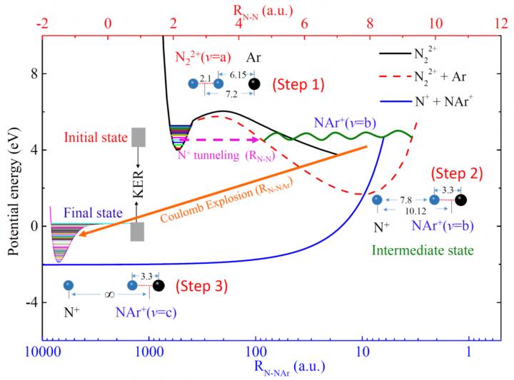 Schematic Diagram