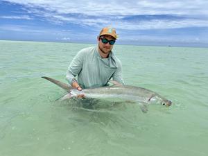 Milkfish Seychelles