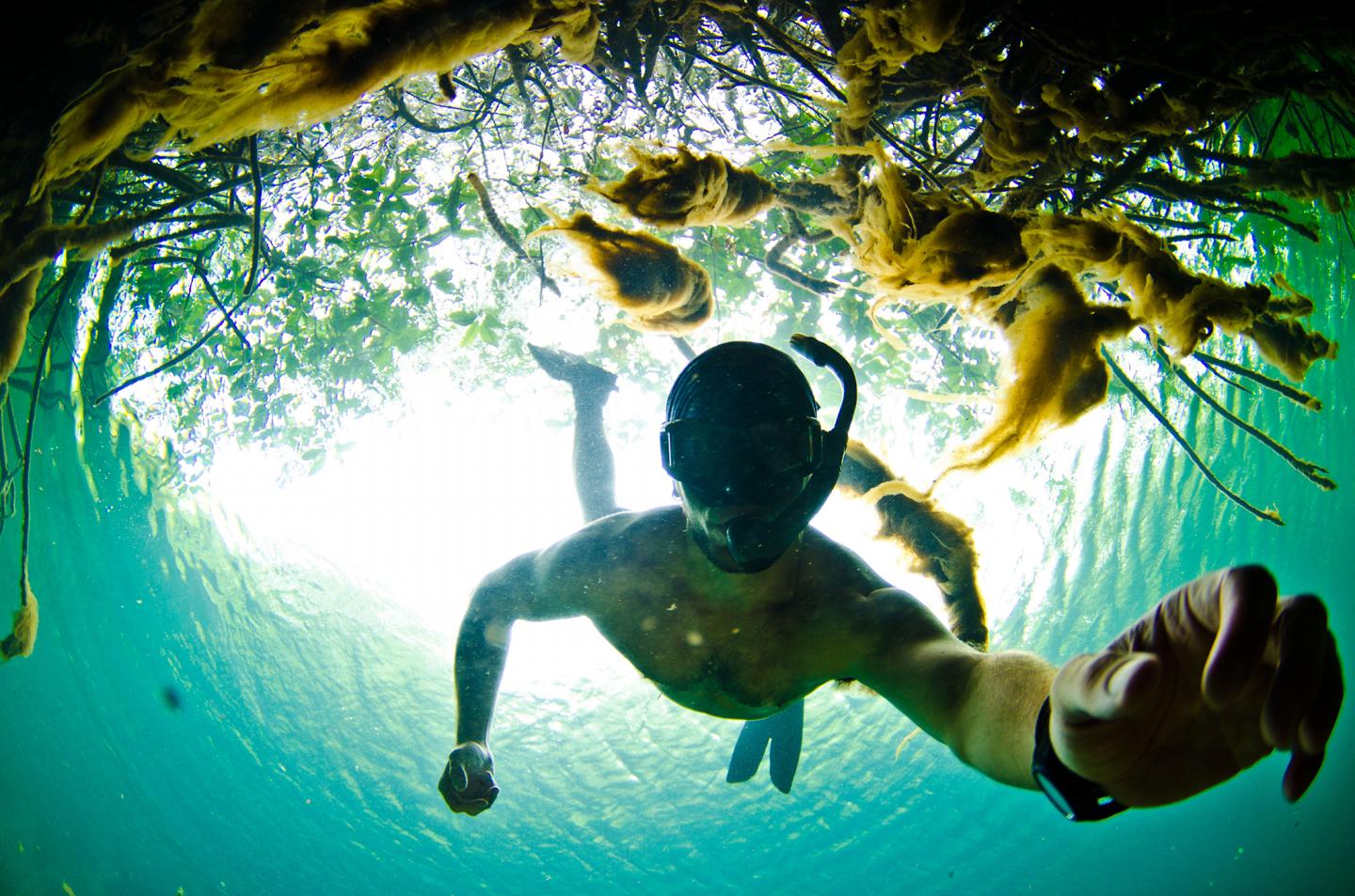 Mike Gil, University of Florida