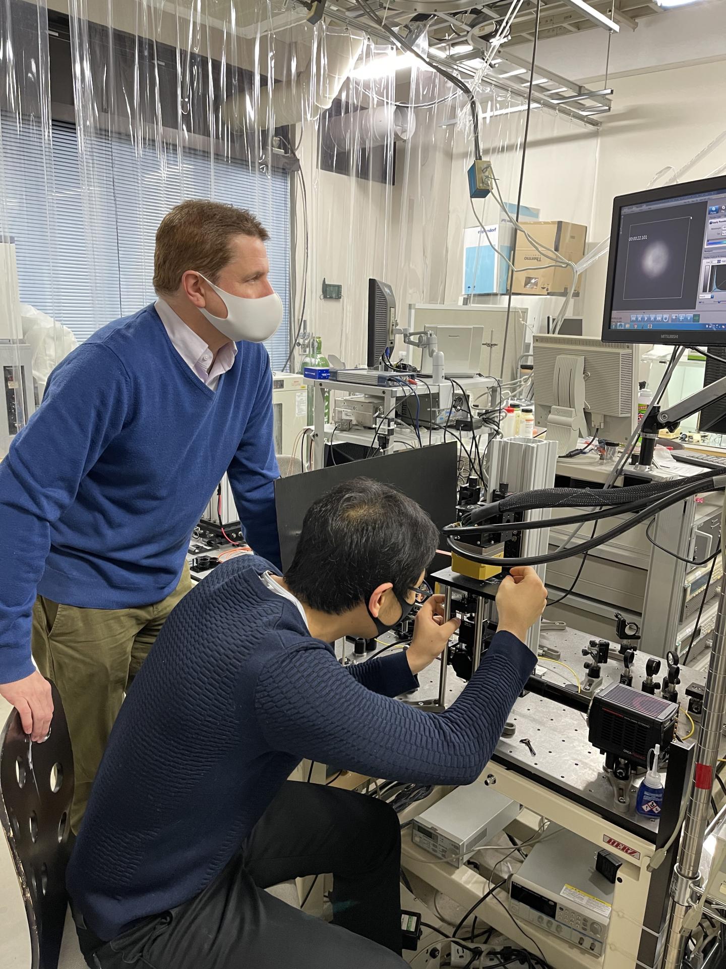 Observing magnetic field effects on live cells