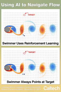 Using AI to Navigate Flow