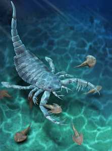 Reconstruction of Terropterus xiushanensis gen. et sp. nov.