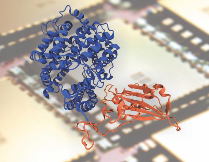 Protein Design in the era of Exascale computing