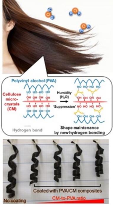 Mechanism of Humidity Responsiveness and Styling Performance in Shape Memory Polymeric Materials