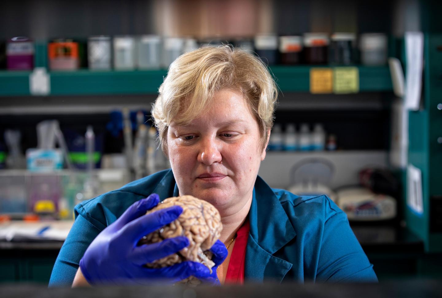 Donna Wilcock, of the Sanders-Brown Center for aging in her lab on August 14, 2019. Photo by Mark Cornelison | UKphoto