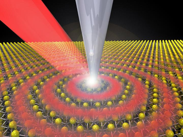 Imaging Half-Light, Half-Matter Quasiparticles
