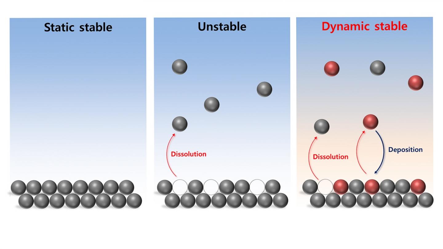 Electrochem Dynamic Stability 