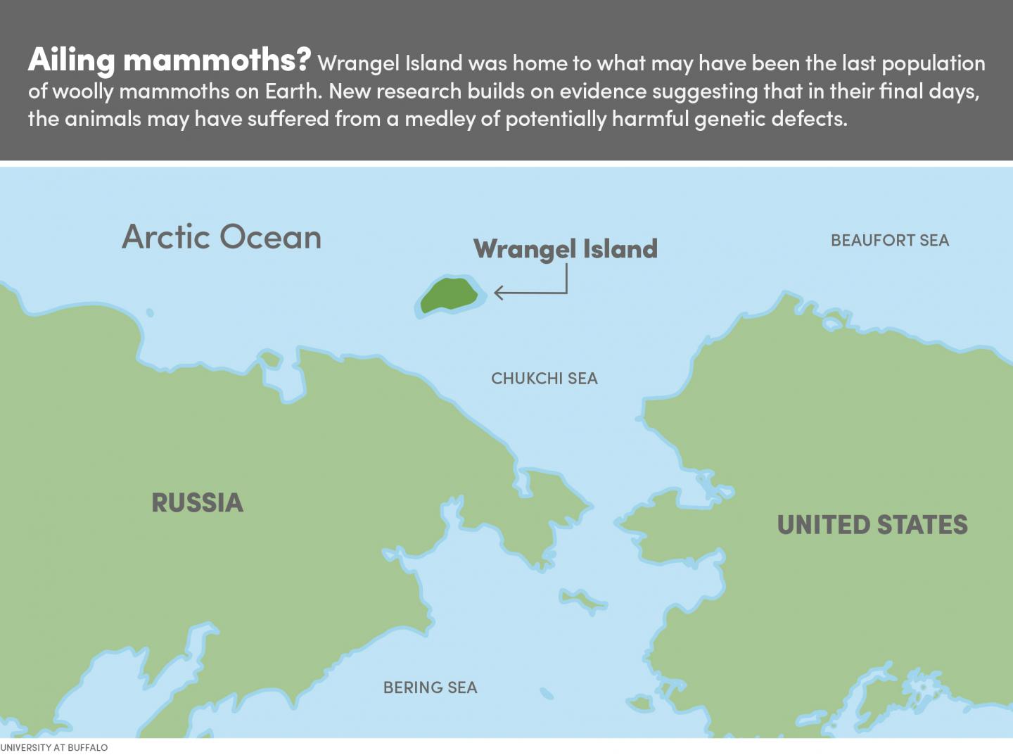 Map of Wrangel Island [IMAGE] | EurekAlert! Science News Releases