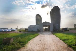 Purdue Dairy Unit