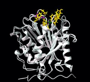 A protein structure comparison