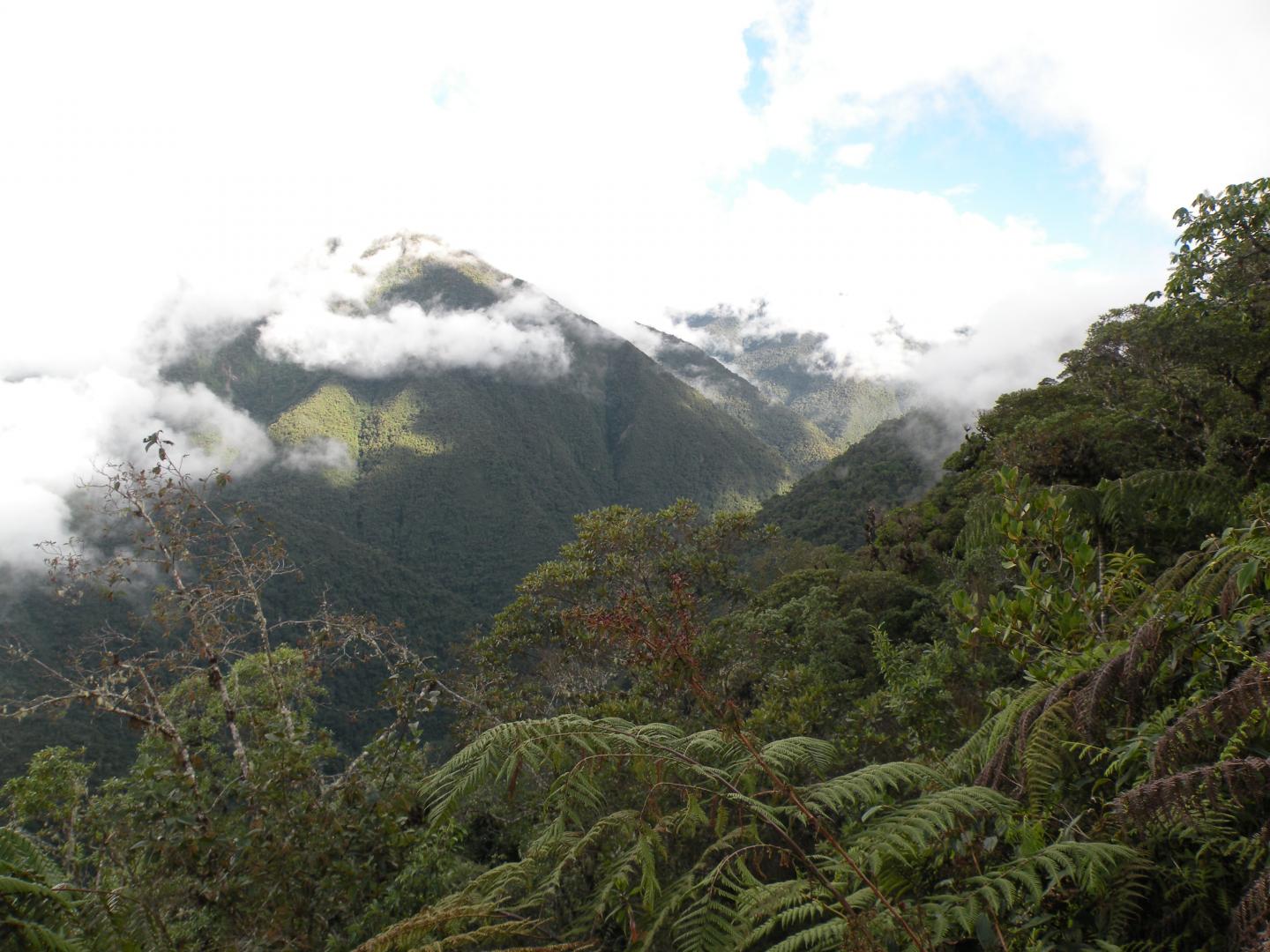 Peruvian Mountainside
