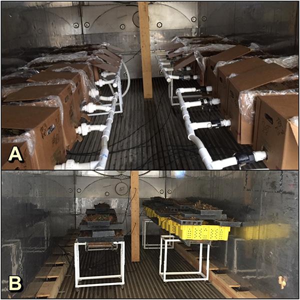 Precision thermotherapy unit setups