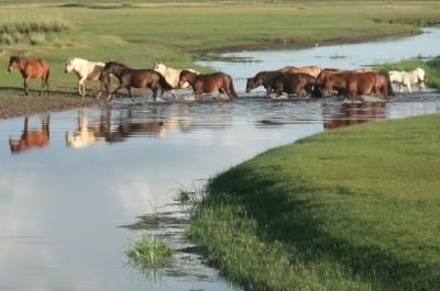 At the monsoon’s edge