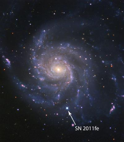 SN 2011fe in the Pinwheel Galaxy (M101) at Maximum Brightness