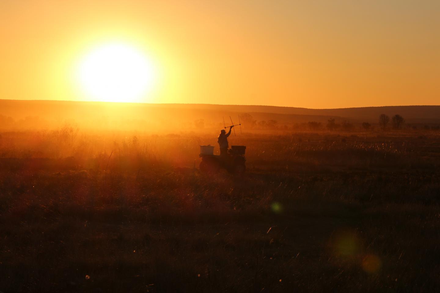 Sunset Radiotracking