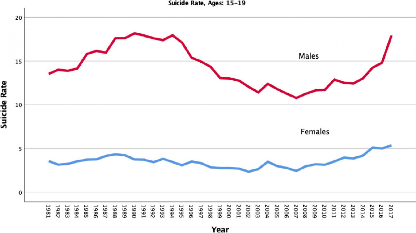 teen suicide facts