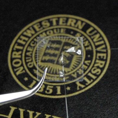 Micro-Ring Resonator Detector