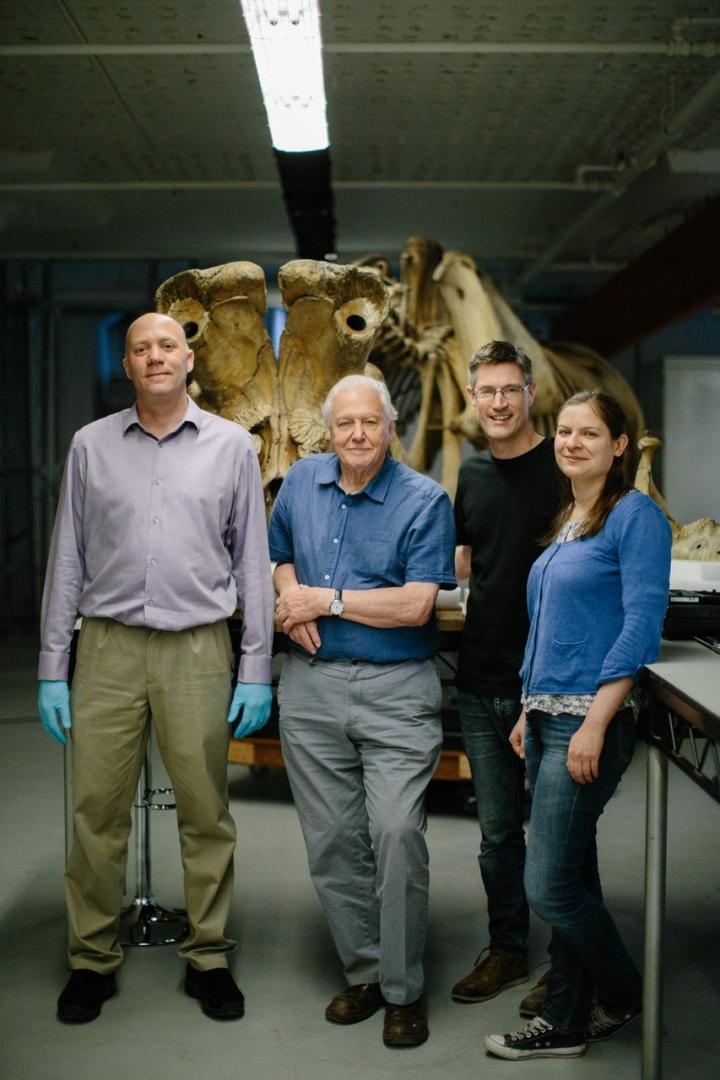 Team with Sir David Attenborough