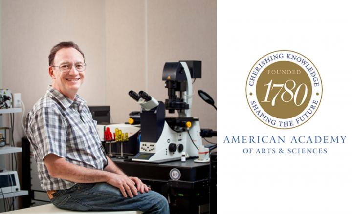 Steve Granick, UNIST