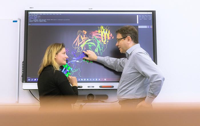 Analyze protein structures