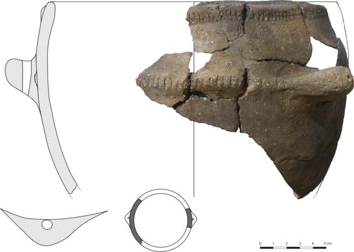 Evidências diretas encontradas do consumo de laticínios nos Pirenéus nos primeiros estágios do Neolítico