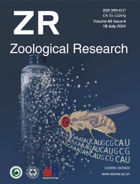 Cover image: Depicts the systematic health risks of microplastic exposure using Drosophila melanogaster as a model. (Image by SIAT)