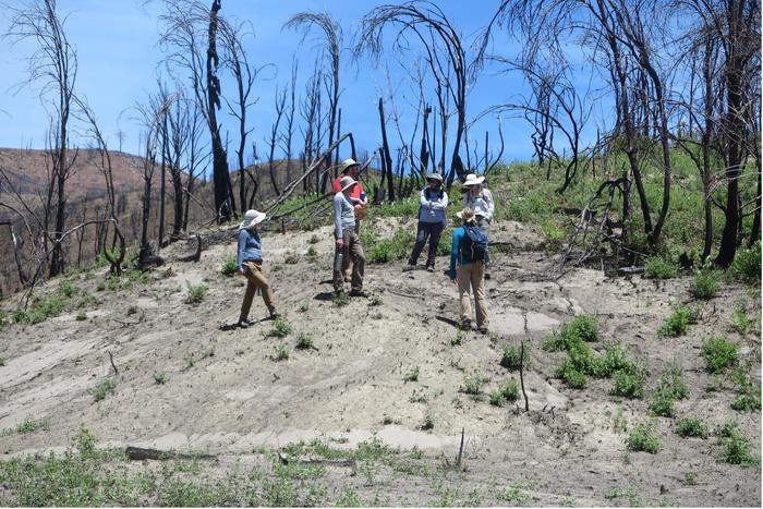 Visit to Camp Fire site post wildfire