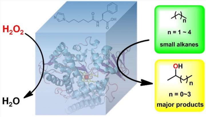 Engineering An Enzyme