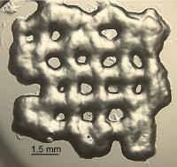 New hydrogels for T-cell growth to be used in cancer immunotherapy