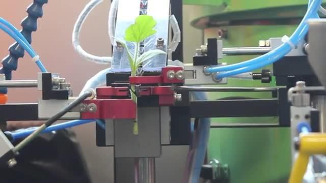 Robot Makes Plant Grafting a Snap