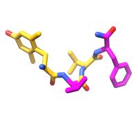 Bilorphin Tetrapeptide, Showing L-Amino Acids (Yellow) and D-Amino Acids (Magenta)