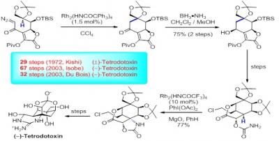 Synthesis of Tetrodotoxin