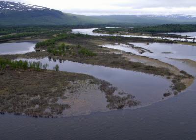 Boreal Floodplain