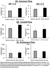 2A: Coronary Flow