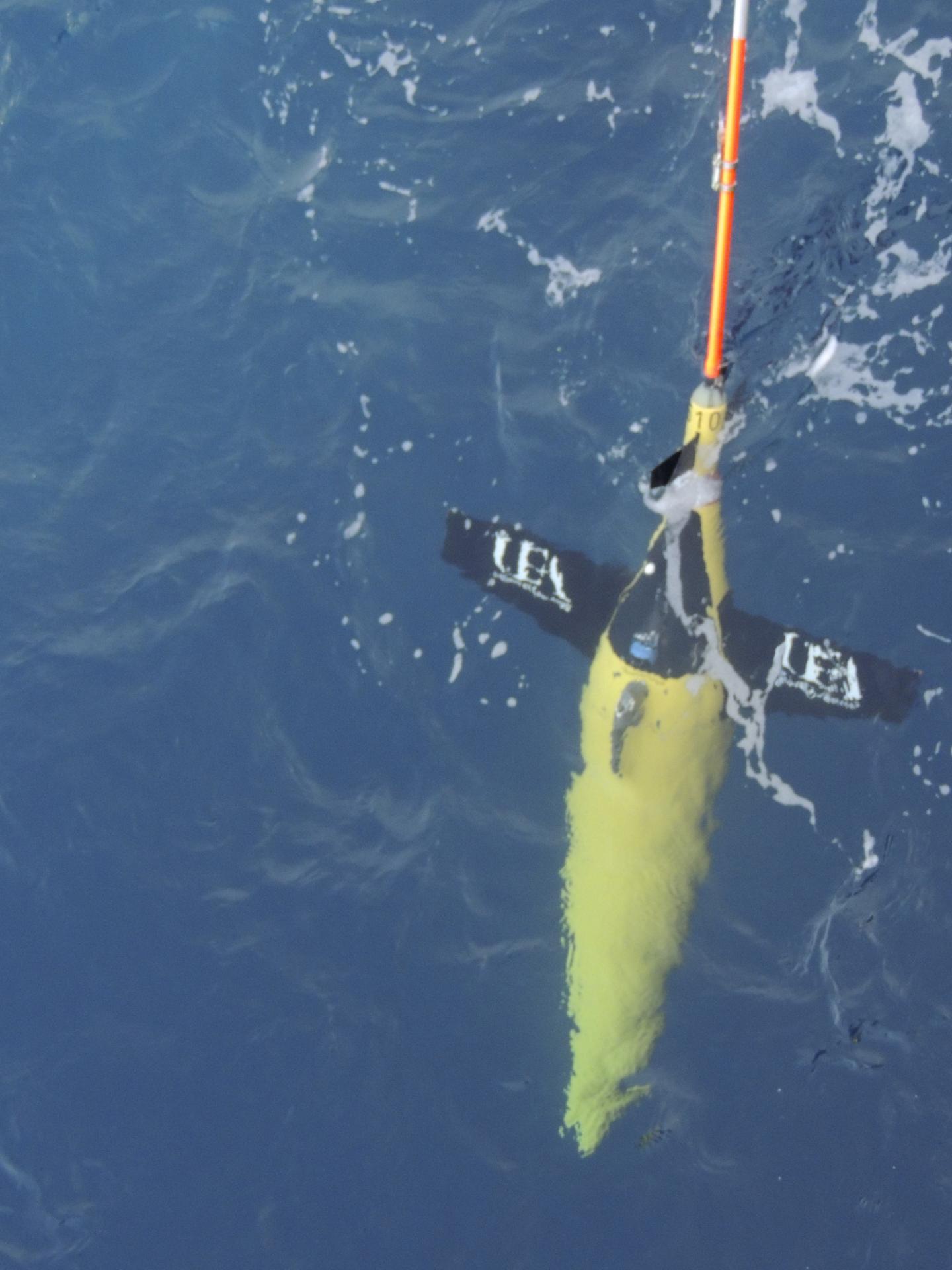 Sea Glider in Water