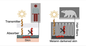 New textile unravels warmth-trapping secrets