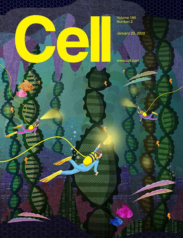 Scanning Mechanism in Sperm