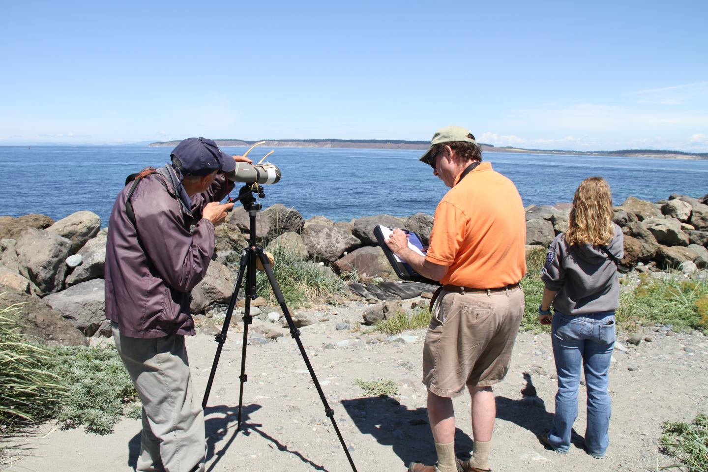 Volunteers Record Bird Sightings