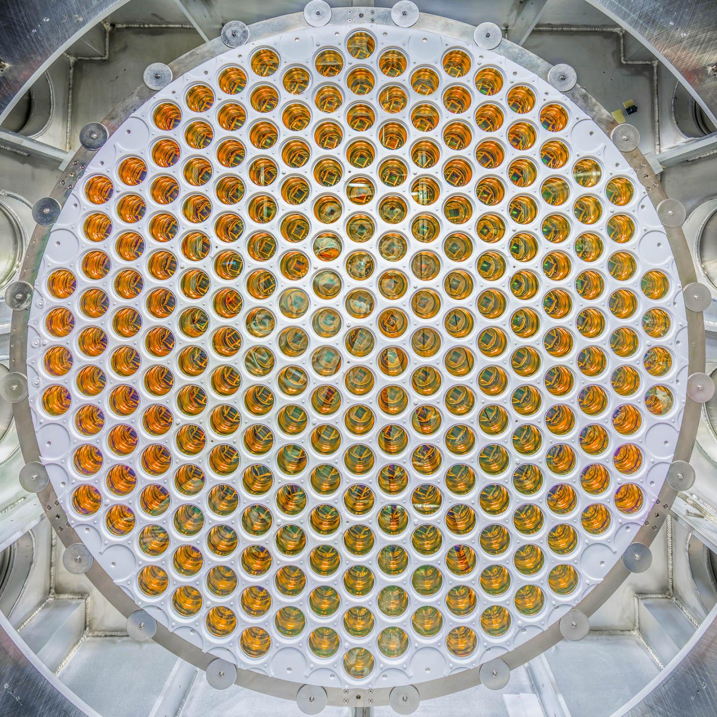 LUX-ZEPLIN Photomultiplier Tube Array