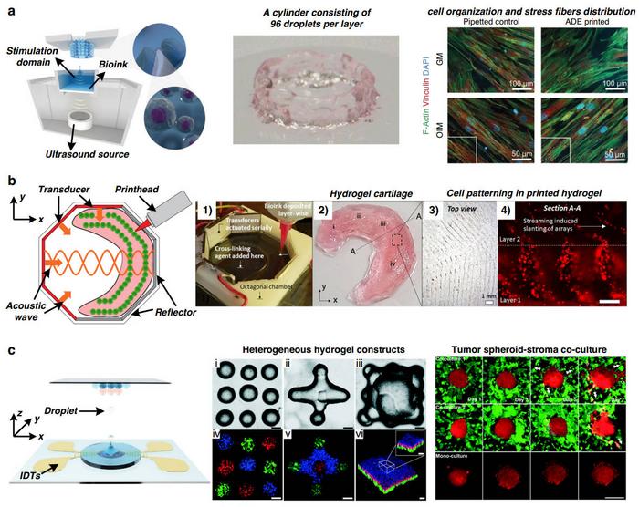 Acoustic-based bioprinting.