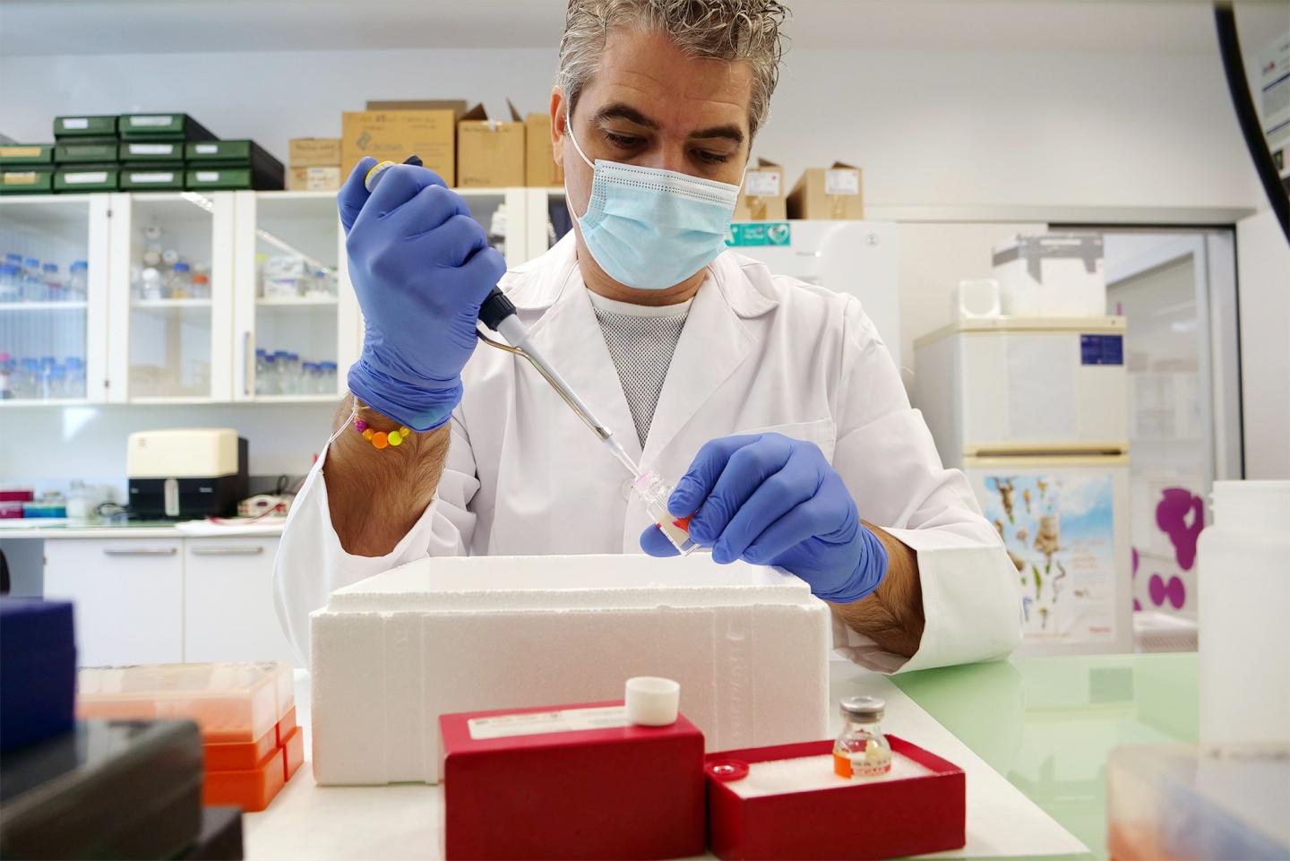 The researcher from the UMA Adrián Ruiz-Villalba working in his laboratory at the Center for Nanomedicine and Biotechnology